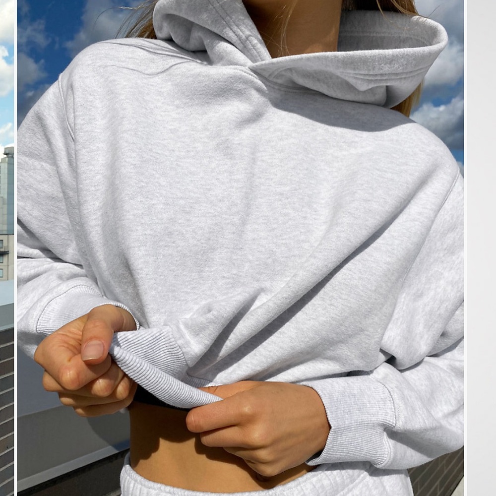 Aritzia Cozy Fleece Perfect Shrunken Hoodie